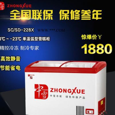 雪糕柜冰淇淋展示柜 超豪华圆弧玻璃门系列单温商用冷藏冷冻冰柜